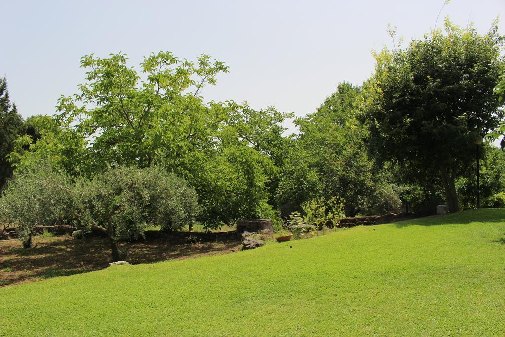הוילה סאן ג'ובאני לה פונטה Domus Vini מראה חיצוני תמונה